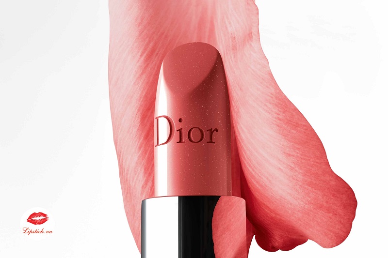 Lõi Son Dương Dior  Thelook17