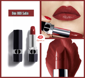 Son Dior 869 Sophisticated