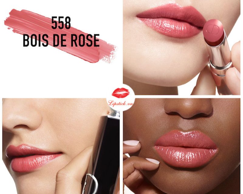 Son Kem Dior 558 Rouge Forever Liquid  Son Dior Kem Lì Chính Hãng  Shopee  Việt Nam