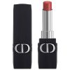 son-rouge-dior-558-forever-grace