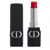 son-rouge-dior-760-forever-glam