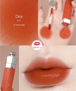 dior-731-natural-ginger