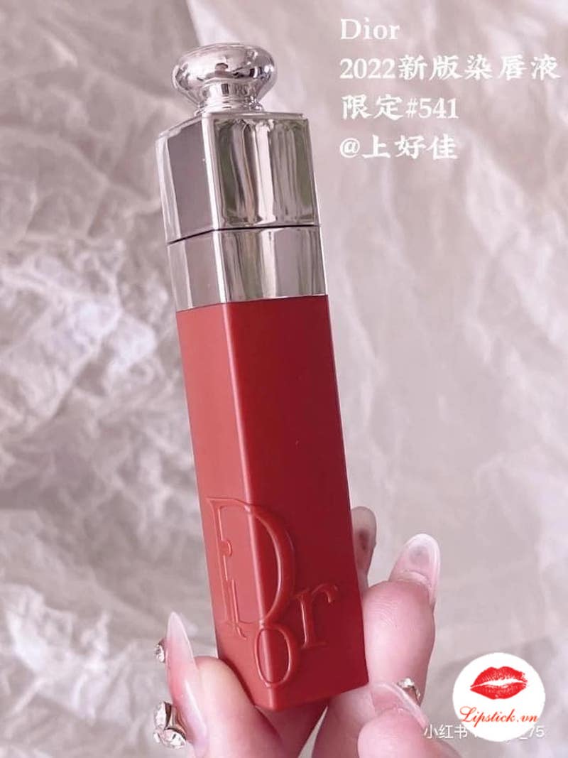 Tổng hợp với hơn 72 về dior lip addict tattoo 541  cdgdbentreeduvn