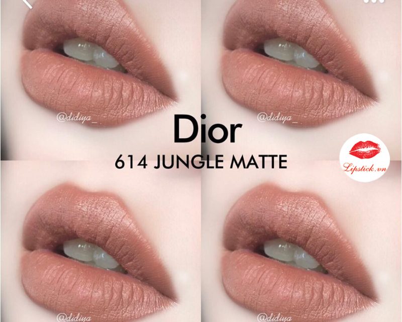 Son dưỡng môi Rouge Dior New 2023  Son dưỡng môi trị thâm