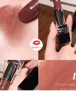 rouge-dior-810